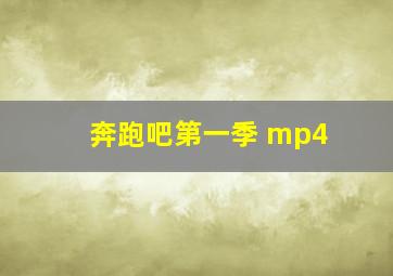 奔跑吧第一季 mp4